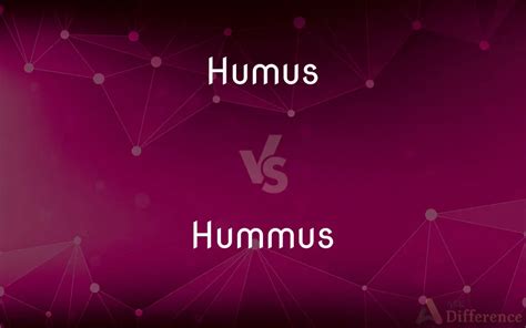 Humus vs. Hummus — What’s the Difference?