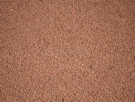 Cow food pellets stock photo. Image of agricultural, brown - 7911010