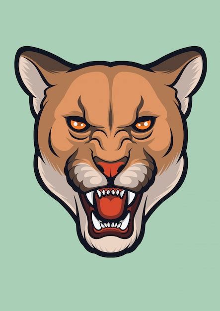 Visage En Colère Cougar, Puma Concolor | Vecteur Premium