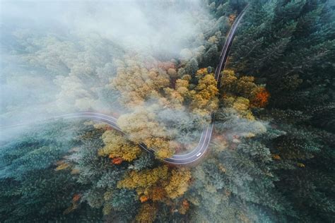 landscape, Nature, Oregon, Forest, Road, Highway, Fall, Mist, Drone, Aerial View, Trees ...
