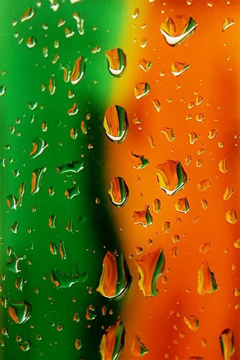 Orange and Green Wallpaper - WallpaperSafari