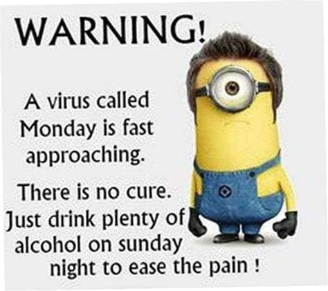 50 Best Funny Minion Quotes – FunZumo