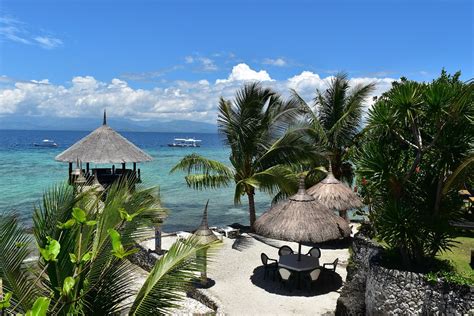 THE 10 BEST Cebu Island Diving Resorts - Jul 2022 (with Prices) - Tripadvisor