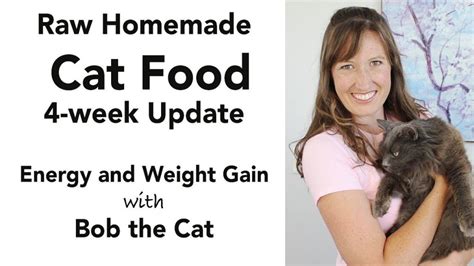 Homemade Cat Food Update (kidney disease diet – low phosphorus) – Man ...