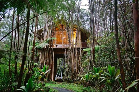 Luxury Airbnb Tree Houses You Can Stay In Once The Lockdown Ends