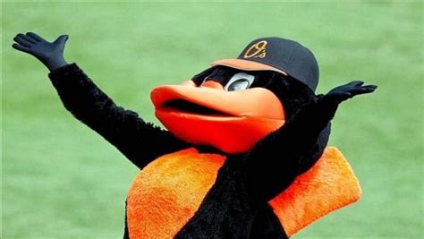 Baltimore Fishbowl | Baltimore-Orioles-Bird-Mascot