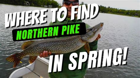 Spring Pike Fishing Locations - YouTube