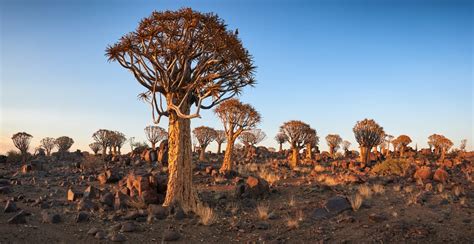 Namibia Landscape Photography: Seven Highlights