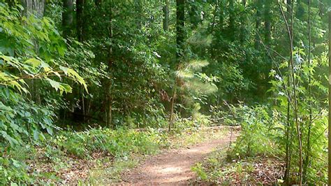 Another Runner: Trail Review: Falls Lake Trail - Section 1