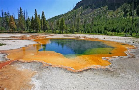 Yellowstone, el bosque del Oso Yogi