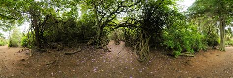 Cragside Labyrinth 2 Northumberland England Uk 360 Panorama | 360Cities