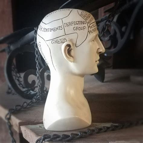 Phrenology Head, Vintage Medical Phrenology Bust, Oddities, Curiosities - Oddities For Sale has ...