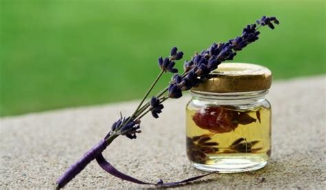 Aromatherapy for Stress Relief and What to Use When