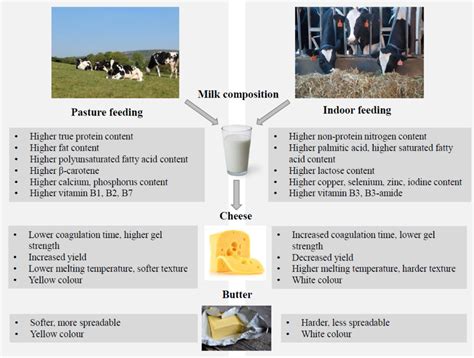 Compositional and functional properties of milk and dairy products derived from cows fed pasture ...