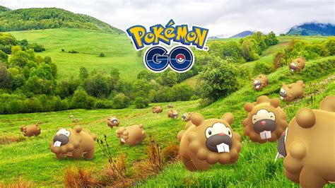 Pokemon GO celebrates Bidoof Day this Thursday | Shacknews