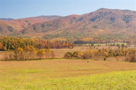 Top 5 Cades Cove Hiking Trails You Should Go On