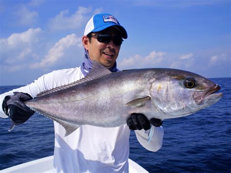 How to Catch Amberjack - Tips for Fishing for Amberjack