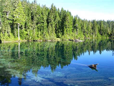 Mowich Lake Campground | Visit Rainier