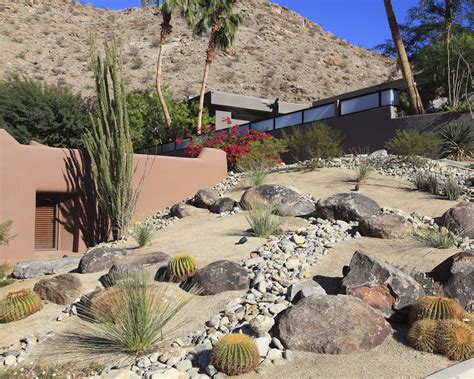 Landscaping with cactus: 9 ways to add color and structure | Gardeningetc