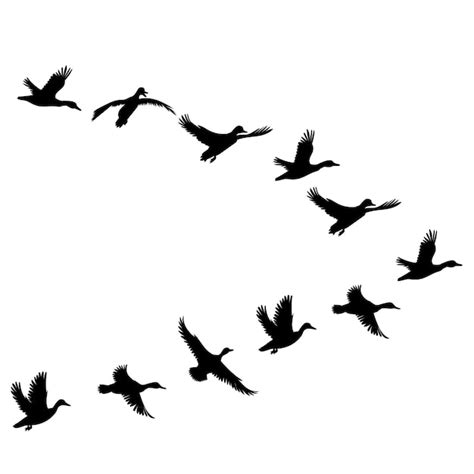 Flying Duck Silhouette