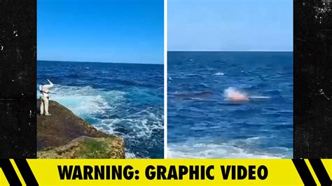 Beachgoers Witness 15-Ft Shark Kill Swimmer in Sydney