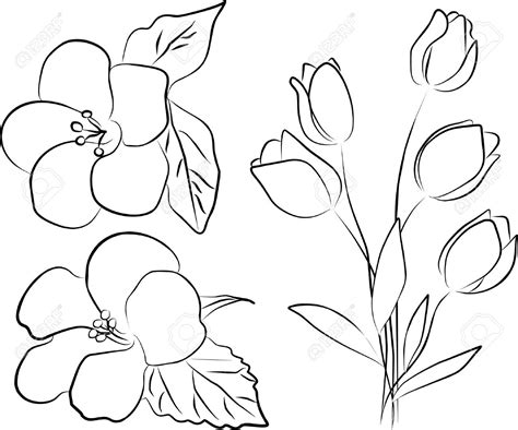 Cherry Blossom Drawing Outline at GetDrawings | Free download