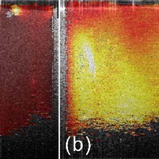 Experimental setup using linear phased array ultrasound transducer to... | Download Scientific ...