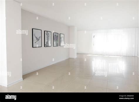 Interior of modern art gallery Stock Photo - Alamy