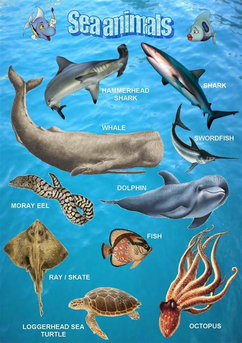 Sea animals, poster 1 | Sea animals, Ocean animals, Animals name in english