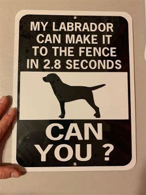 Labrador Dog Lab Funny Aluminum Yard Sign Designs - Etsy