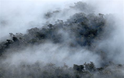 Cloud Forest Blue Energy Mechanism - CPI