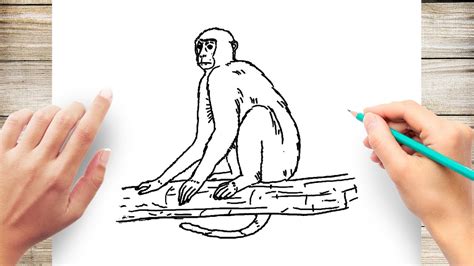 How To Draw A Monkey On A Tree