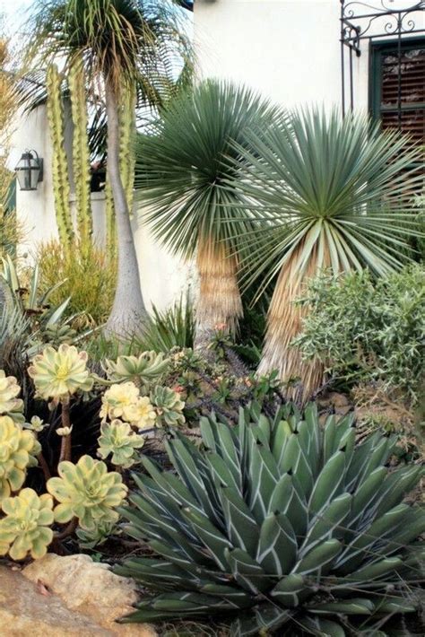 Xeriscape inspiration | Succulent landscape design, Xeriscape, Cactus garden landscaping