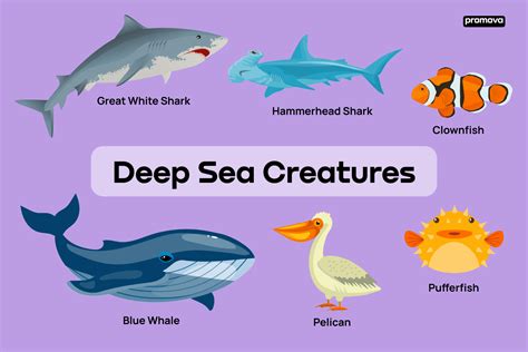 100+ Names Of Sea Animals And Ocean Creatures