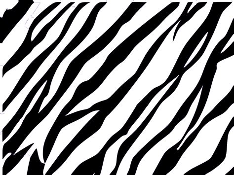 Black And White Zebra Stripes Clipart - Full Size Clipart (#5594144) - PinClipart