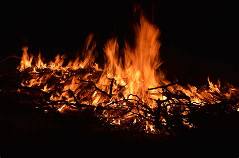 Photo of a Campfire at Night · Free Stock Photo