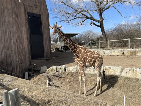 A visual guide to visiting the Sedgwick County Zoo | Wichita By E.B.