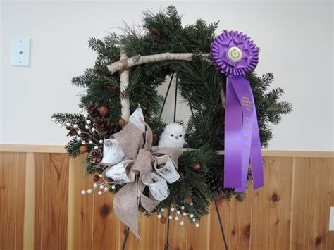 Cooks' Woods creative wreath awarded - SWNews4U