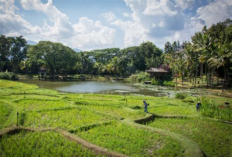 Things to Do in Chiang Mai and the Golden Triangle