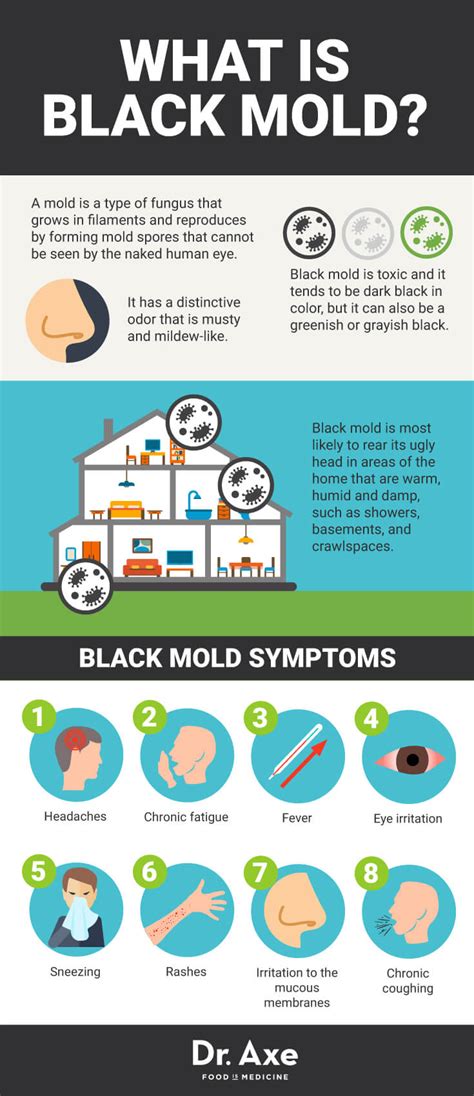 8 Signs You Need a Black Mold Detox | Black mold exposure, Mold ...