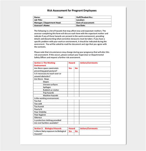 Nhs Pregnancy Risk Assessment Template