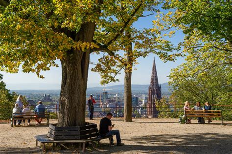 Kanonenplatz - Kuratorium Schlossberg Freiburg