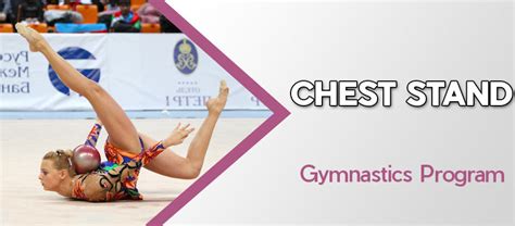 Gymnastics Chest Stand – EasyFlexibility