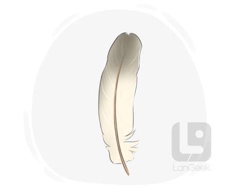 Definition & Meaning of "Plumage" | LanGeek