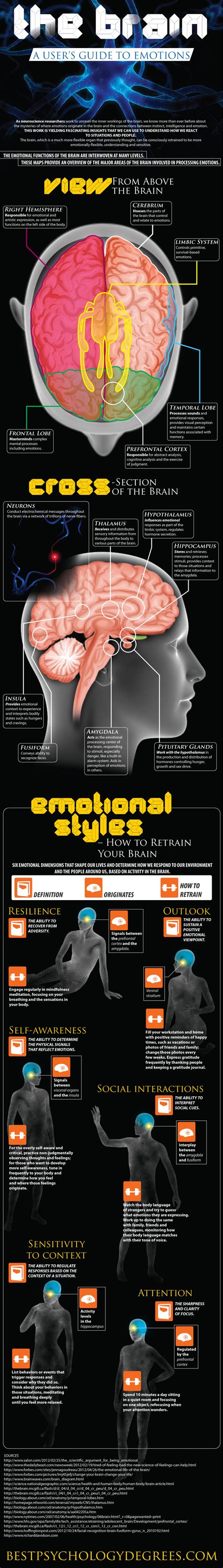 The Brain: A User’s Guide to Emotions (Infograph)