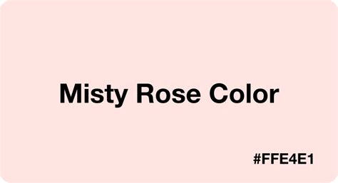 Misty Rose Color: Best Practices, Color Codes, Palettes & More!