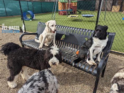 Dog Park Benches | Three Dog Bench Thermoplastic Coated Steel