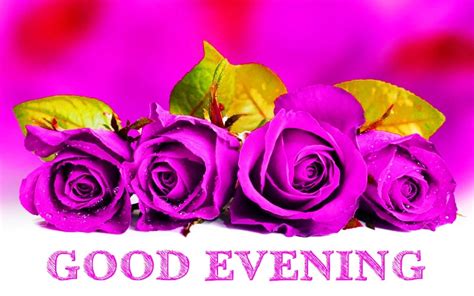 Good Evening With Roses - Desi Comments