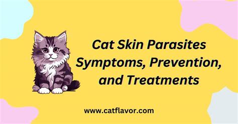 Cat Skin Parasites Symptoms, Treatments and Preventive Strategies - Cat Flavor