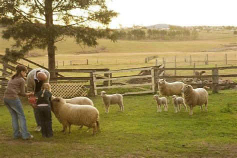 The Best Agriturismo - Farm Stays, Dude Ranches & Vineyard Hotels